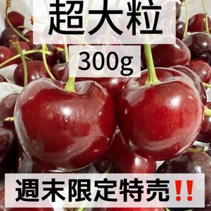 9.5r超大粒アメリカンチェー300g 父の日 中元 家庭用 ポスト投函 車厘子 美國櫻桃 さくらんぼ 国内検品発送 果物空輸直送 常温便