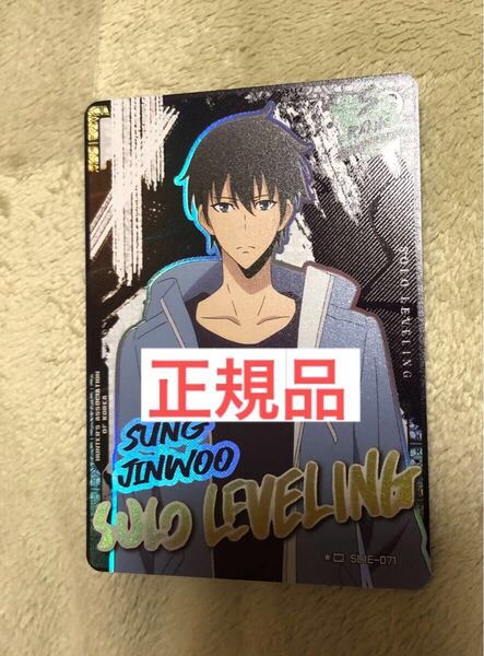 ③ 俺だけレベルアップな件 トレカ カード SR ソロレベリング Solo Leveling