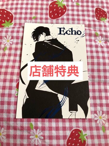俺だけレベルアップな件 イラストカード 複製サイン入り Echo 店舗特典 ソロレベリング Solo Leveling