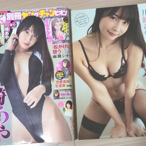 ヤングチャンピオン 川崎あや 水湊みお 付録写真集 グラビア グッズ アイドル 別冊