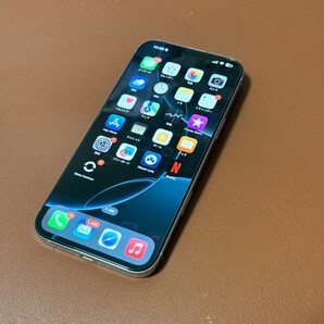 iPhone16Pro max 256GB 美品! バッテリー最大容量100% 純正シリコンケース付き