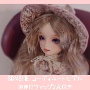 SDM 61番 女の子 フェア肌 コーディネートモデル スーパードルフィー ボークス ドールウィッグ3点付き/ドール本体 bjd 球体関節人形