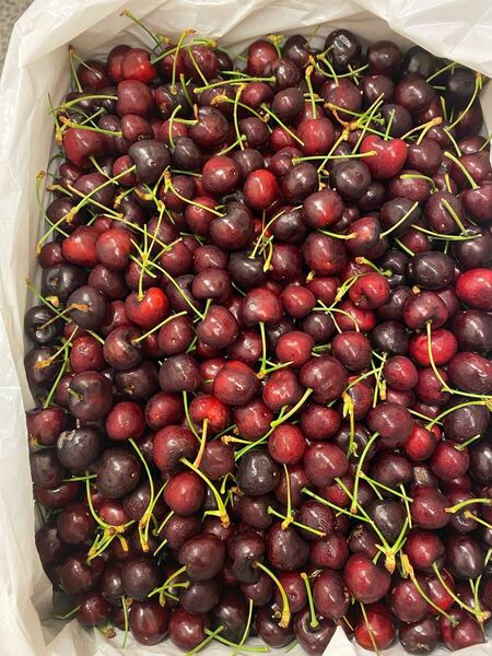 常温便アメリカ産チェリー約1キロ前後
