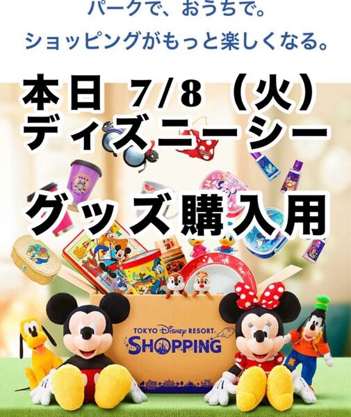 本日 7/8(火) ディズニーシー 使用済みチケット オンラインショッピング グッズ購入用 ダッフィー ビッグバンドビート