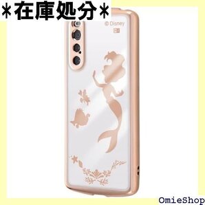 イングレム Xperia 10 V ケース キャラクタ _メタリック IN-RDXP10M5TC13PG/AR6 854