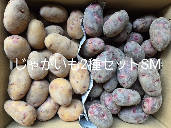 幻のじゃがいも2種セットSM 10㎏ 農家直送