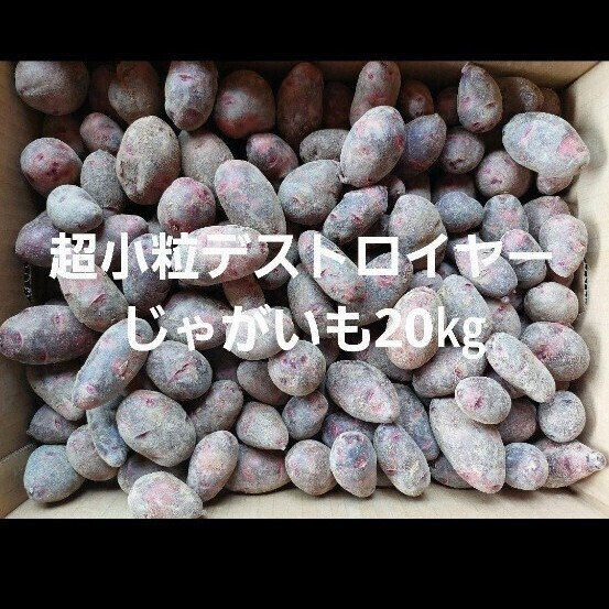 平日発送限定!超小粒デストロイヤーじゃがいも20キロ
