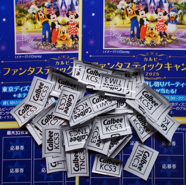 カルビー 応募券 264点 専用応募はがき ファンタスティックキャンペーン2025 東京ディズニーランド貸切パーティー 懸賞応募