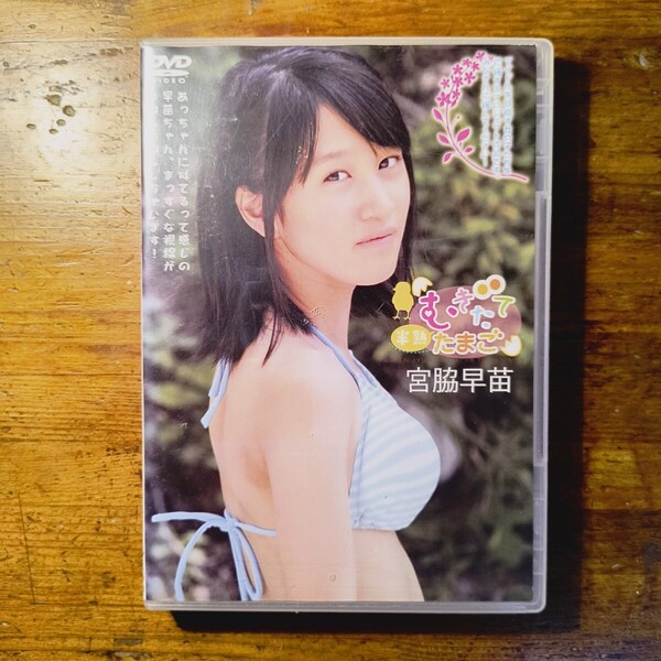 【送料無料】DVD 宮脇早苗 半熟むきたてたまご リトルプリンセス little princess(正規品 美少女 グラビア アイドル)