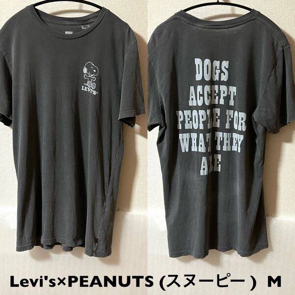 Mサイズ!Levi's×PEANUTS (スヌーピー )古着半袖Tシャツ チャコールグレーリーバイス×SNOOPY アメカジ古着