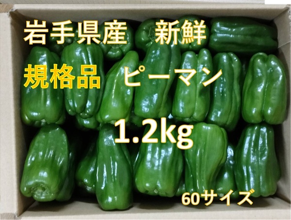 ★規格品 新鮮直送 ピーマン 1.2kg 岩手県産