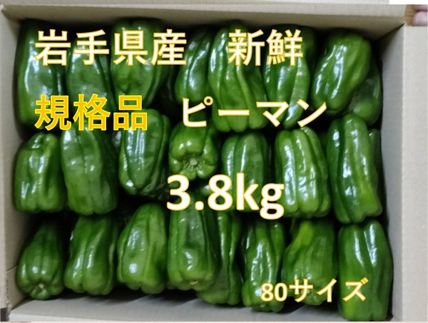 ★規格品 新鮮直送 ピーマン 3.8kg 岩手県産