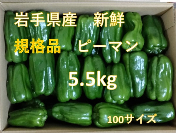 ★規格品 新鮮直送 ピーマン 5.5kg 岩手県産