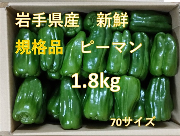 ★規格品 新鮮直送 ピーマン 1.8kg 岩手県産