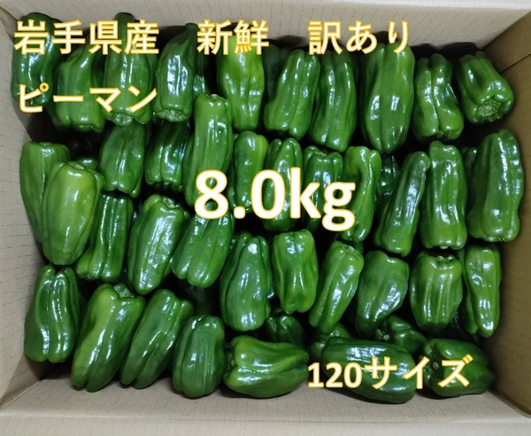 新鮮 ピーマン 8.0kg 岩手県産