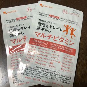 新品☆オーガランド マルチビタミン サプリメント 6ヶ月分