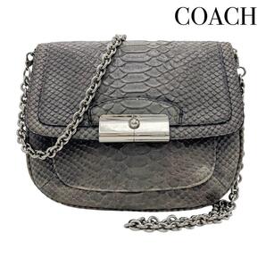 COACH コーチ パイソン型押し チェーンショルダーバッグ グレー系 ミニバッグ ポーチ シルバー スマホバッグ レディース