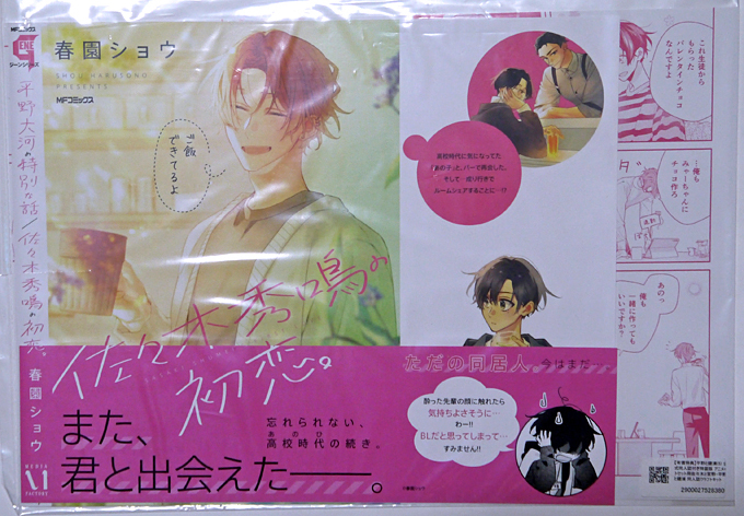 ブックカバー　付録　佐々木と宮野　平野大河　平野と鍵浦 クラフトキット 2025年最新】平野と鍵浦 ブックカバーの人気アイテム - メルカリ