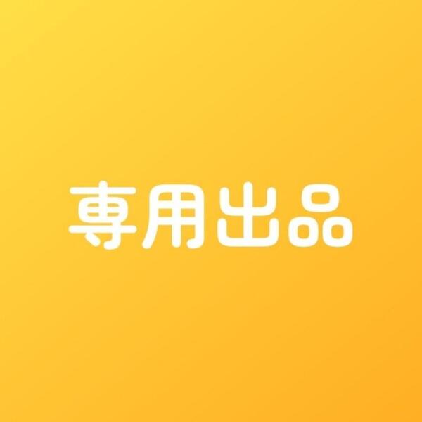 専用 野菜種◆トマト キュウリ ナス スイカ ピーマン オクラ インゲン ズッキーニ 食用ホオズキ マクワウリ カボチャ
