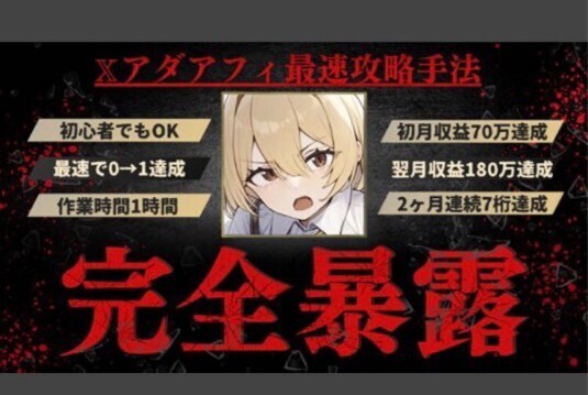 【定価39,800円】アダアフィ完全暴露