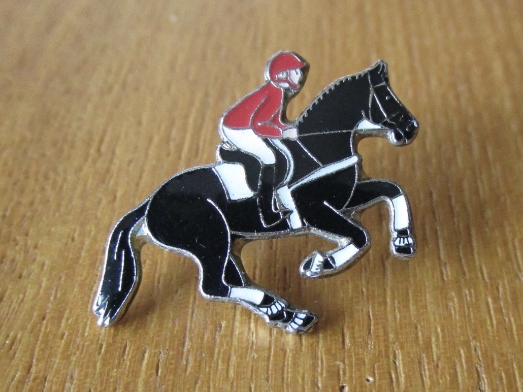 2025年最新】Yahoo!オークション -競馬 ピンバッジの中古品