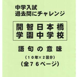 【特典付き】開智日本橋学園中学校(東京)の10年分の過去問『語句の意味』