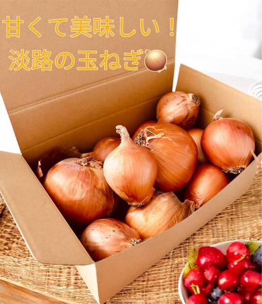 淡路島産たまねぎ『追熟甘たまねぎ』4.8~5kg(風袋込み)
