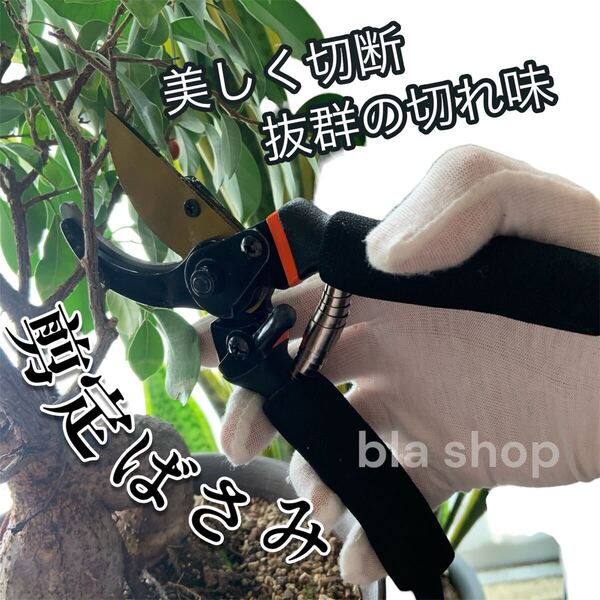 剪定ばさみ SK5鋼 はさみ ガーデニング 園芸 鋏 剪定 植木 家庭菜園