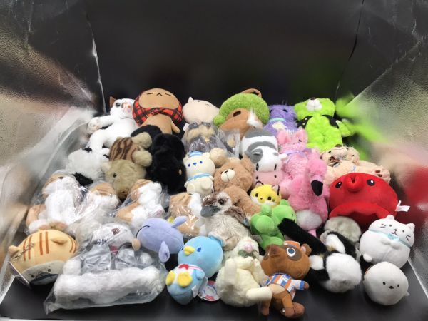 ぬいぐるみ 53個 まとめ売り 大量 2025年最新】Yahoo!オークション -ぬいぐるみ 大量の中古品