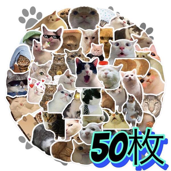 50枚 猫 かわいい 猫ミーム 防水 ステッカー