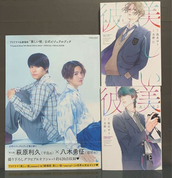 TVドラマ&劇場版「美しい彼」公式ビジュアルブック 他