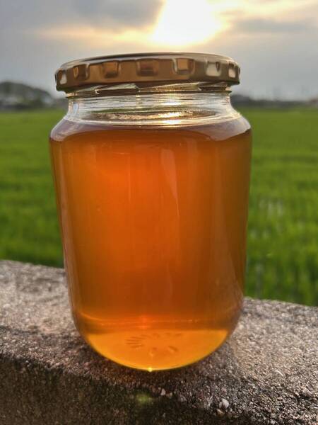 2025年採蜜 日本蜜蜂の100%天然はちみつ 1kg入り(国産) ☆送料無料☆