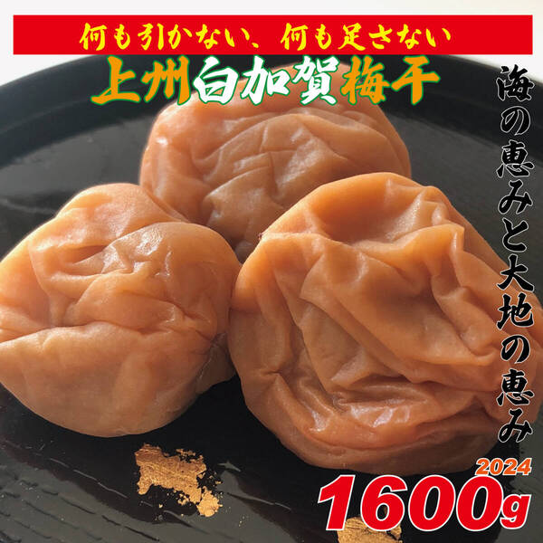 海の恵みと大地の恵み、天日塩使用の地下室手作り添加物不使用白加賀梅干1600g