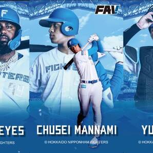 ファイターズトレカ「パンのフェス限定トレカ」全10種 パスワードのみ