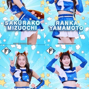 ファイターズトレカ「ファイターズガール ストロベリークッキー」全22種 パスワードのみ3