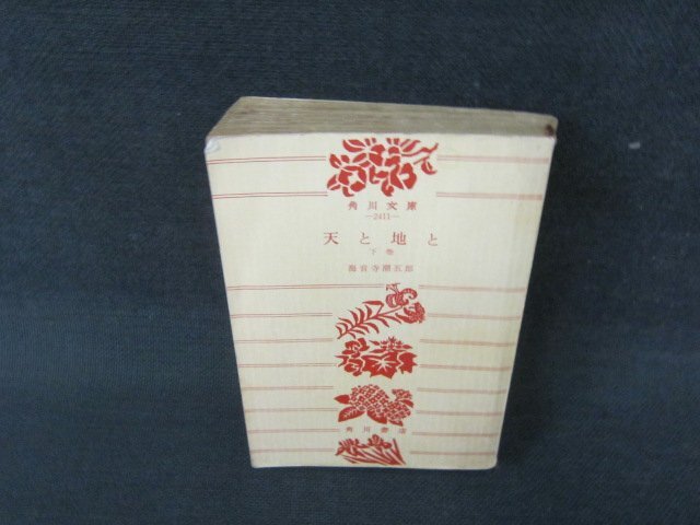 2025年最新】Yahoo!オークション -天と地と 海音寺(本、雑誌)の