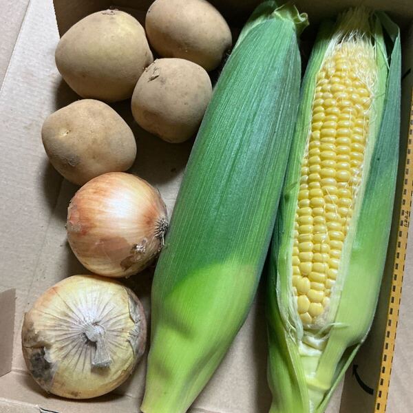 野菜詰め合わせ!野菜セット!じゃがいも玉ねぎとうもろこし