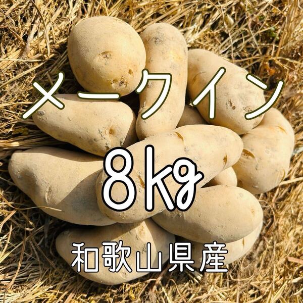 【無農薬】じゃがいも 8Kg メークイン 新じゃがいも 和歌山県産