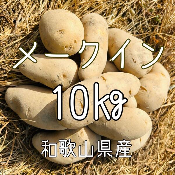 【無農薬】じゃがいも 10Kg メークイン 新じゃがいも 和歌山県産