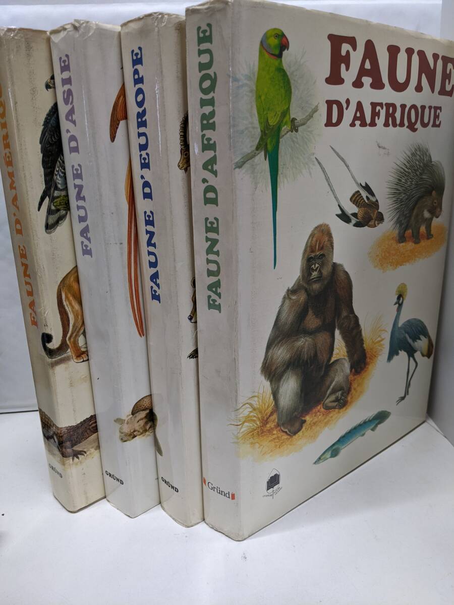 洋書◆エアバス写真集 フランス語 本 212wBQO3V3L._UF894,1000_QL80_.jpg