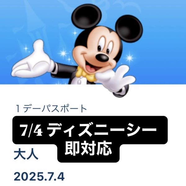 7/4 7月4日 ディズニーシー ダッフィー ダッフィ カラフルハピネス フィルドウィズジョイ チケット パスポート グッズ購入 グッズ購入用