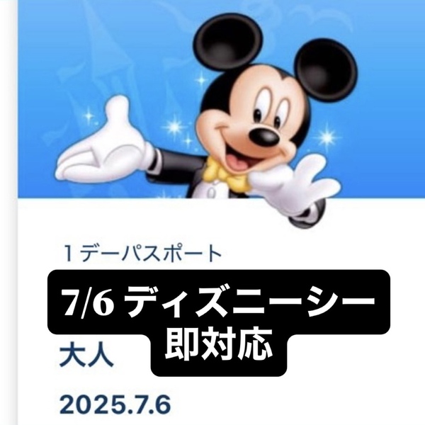 7/6 7月6日 ディズニーシー ダッフィー ダッフィ カラフルハピネス フィルドウィズジョイ チケット パスポート グッズ購入 グッズ購入用 .