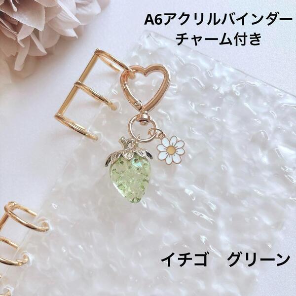 送料無料 新品 アクリルバインダー A6 家計管理 バインダー貯金 saving イチゴ 緑 グリーン