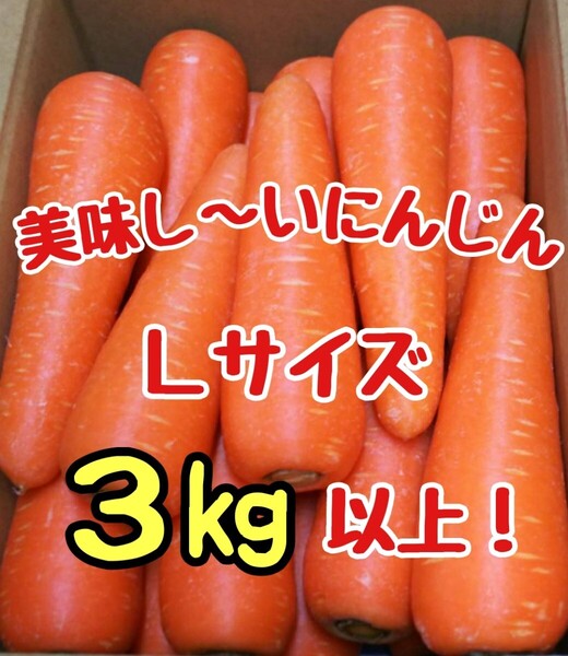 美味しいにんじん!Lサイズ!3㎏以上!