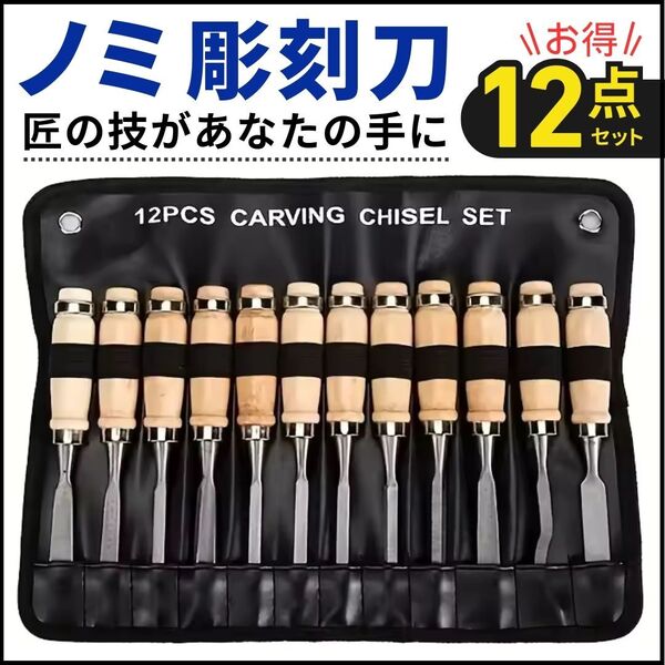 彫刻刀 ノミ 12本 セット 彫刻ナイフ 彫刻ツール 本職 カービングナイフ 木工 削り 木彫り 花彫刻 工作 DIY 篆刻刀 のみ 鑿 木像 木槌 収納