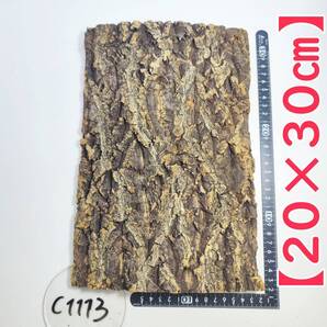 c1113【20×30cm】 コルク樹皮 コルク板 バージンコルク穴あけ送料無料 チランジア ビカクシダ 着生ラン 両生類 爬虫類 ビカクシダ