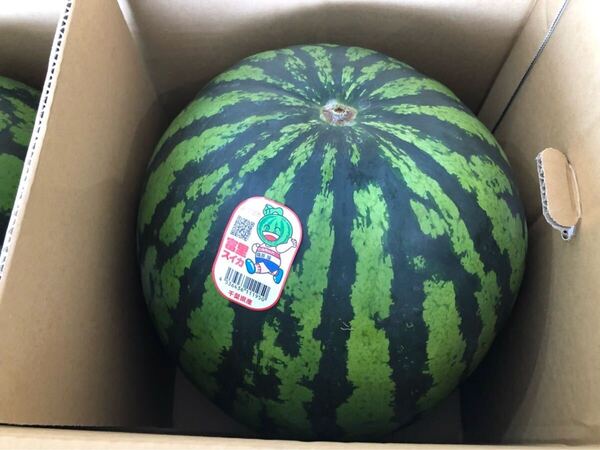 送料込み!富里産 超特大スイカ 3Lサイズ 8-9kg 1玉