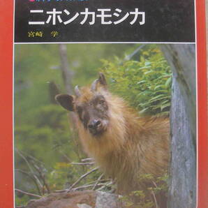 宮崎学・著★「ニホンカモシカ 科学のアルバム34」あかね書房