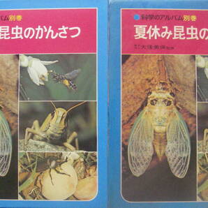 大後美保・監修★「夏休み昆虫のかんさつ 科学のアルバム別巻」あかね書房