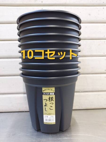 送料無料★セットでお買い得! 植物の生育環境を整えるスリット構造!アップルウエアー 根っこつよし 6号 10P